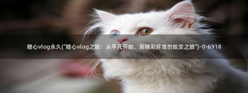 糖心vlog官方app:糖心vlog永久