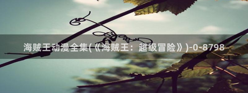 日本动漫艳母:海贼王动漫全集(《海贼王:超级冒险》)